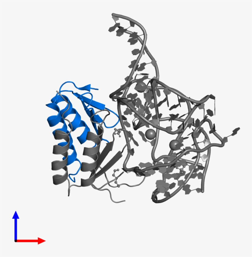 <div Class='caption-body'>pdb Entry 5aox Contains 1, transparent png #6619572