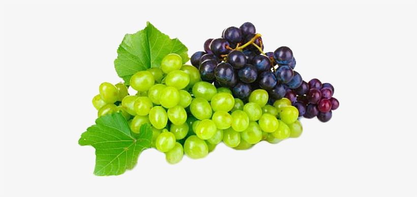 Grapevine, transparent png #6620089