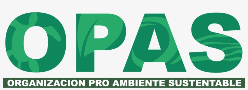 Bandera Puerto Rico Png, transparent png #6620306