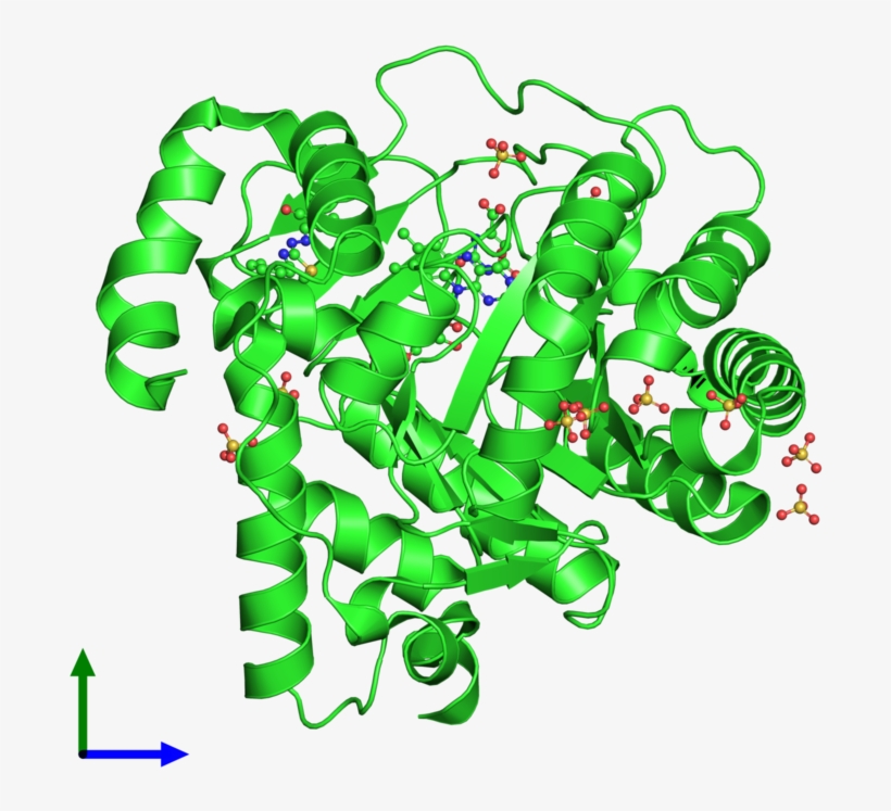 Ribbon Structure Of 4ls0, transparent png #6622444