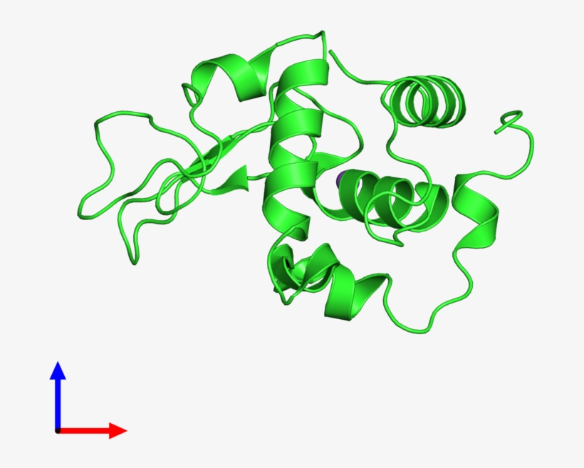 Ribbon Structure Of 1inu, transparent png #6622499