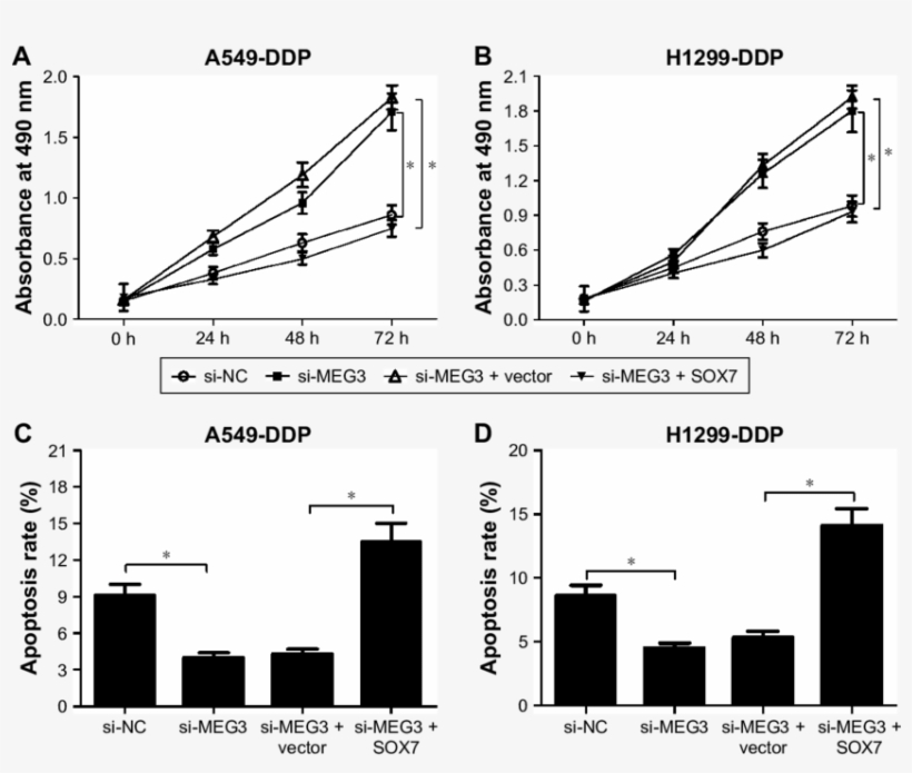 Meg3 Knockdown Increased Ddp Resistance Of Ddp Resistant, transparent png #6623699