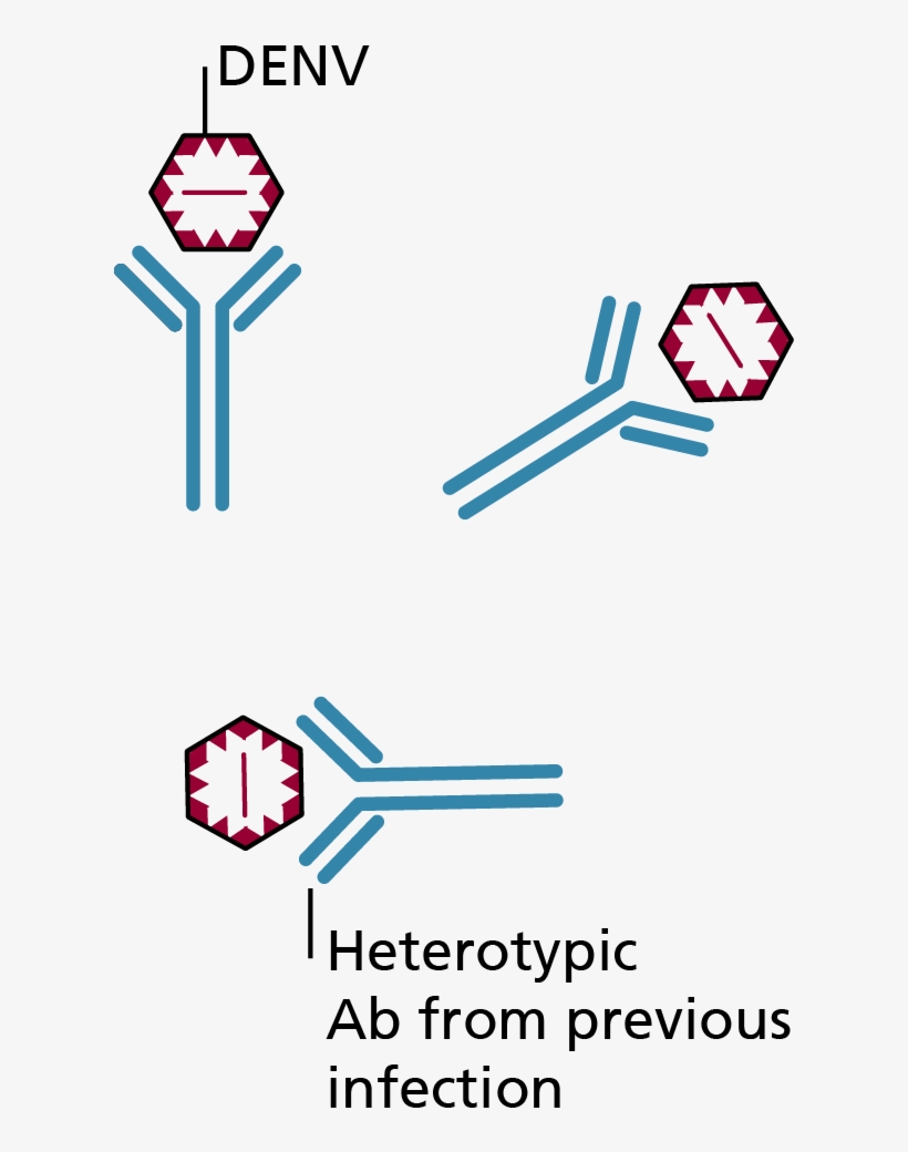 06 Pm 821 Clinical Manifestation, transparent png #6625046