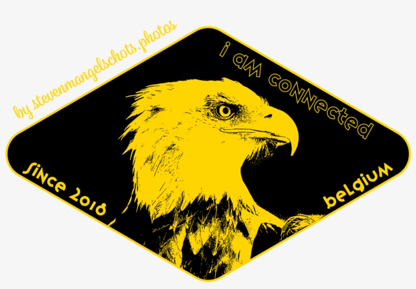 Eagel I Am Connected, transparent png #6627380
