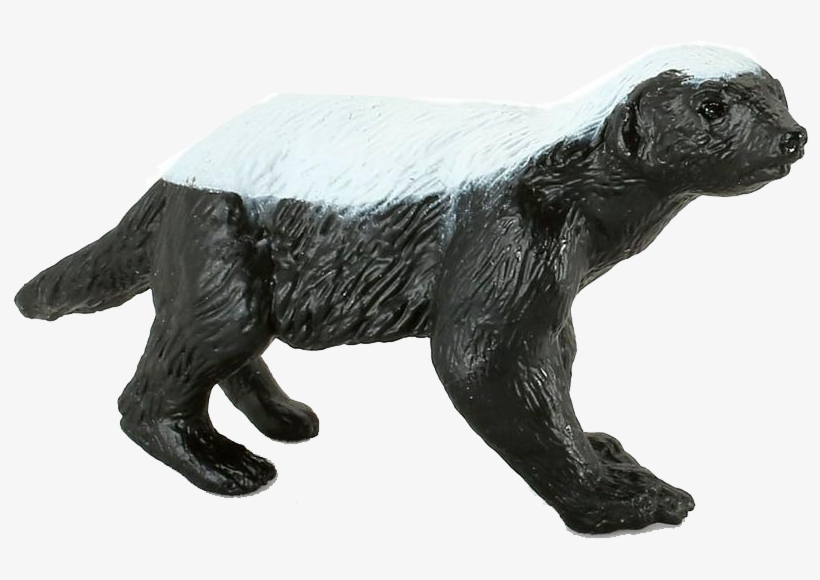 Badger Png, transparent png #6627668