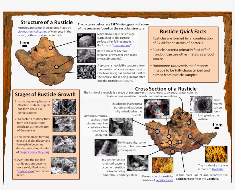 Current Research, transparent png #6628648