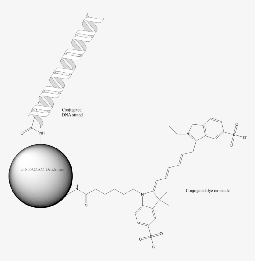 538 Gene Delivery, transparent png #6628945