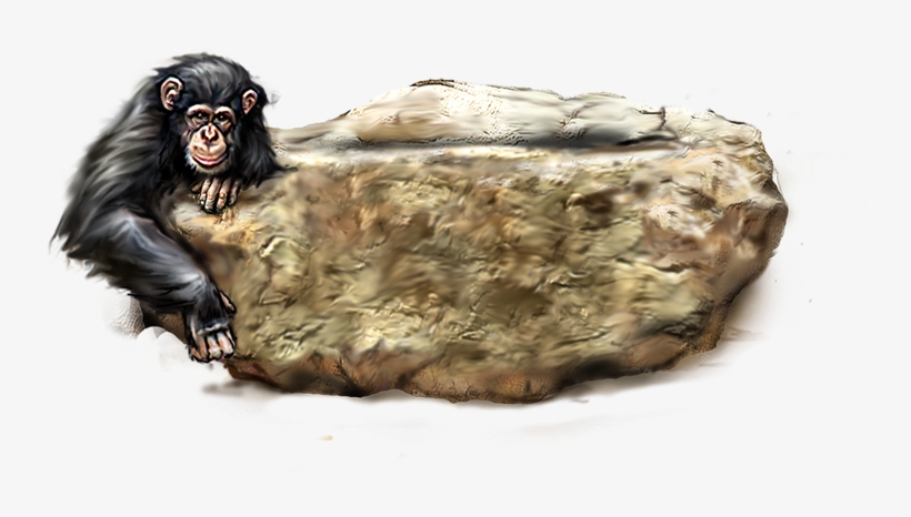 Orangutan Png Picture, transparent png #6629087