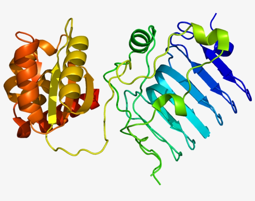 Gene Png, transparent png #6629315