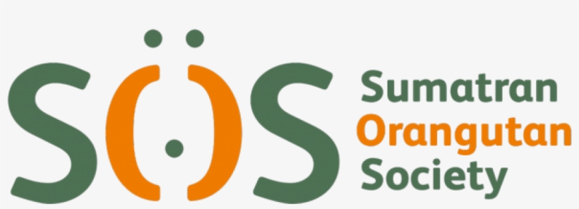 Sumatran Orangutan Society Relies On Javascript To, transparent png #6629646