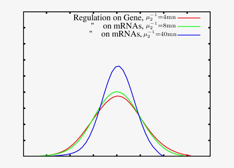 Probability Distribution Of The Number Of Proteins, transparent png #6629688