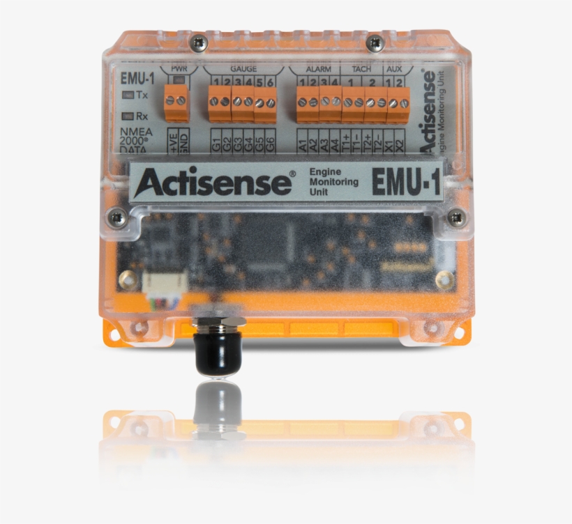 Emu Png, transparent png #6632315