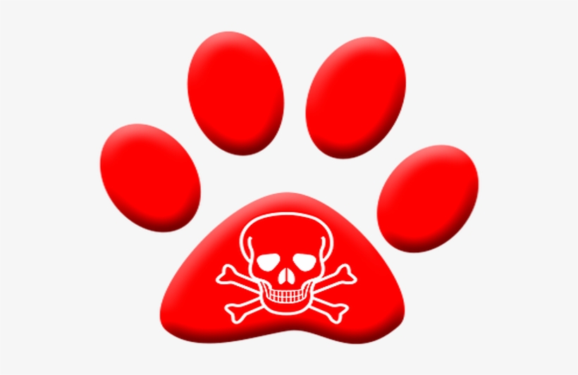 Como Actuar En Caso De Intoxicación O Envenenamiento, transparent png #6632611