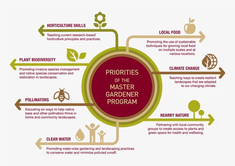 Graphic Chart Listing The Seven Priorities Of The Master, transparent png #6633962