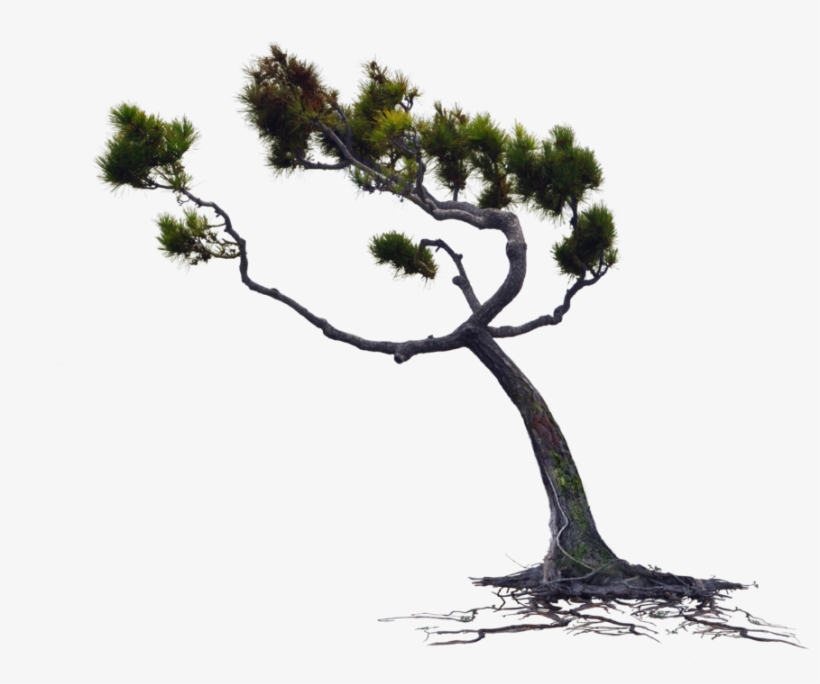 Blowing Wind Png, transparent png #6634330