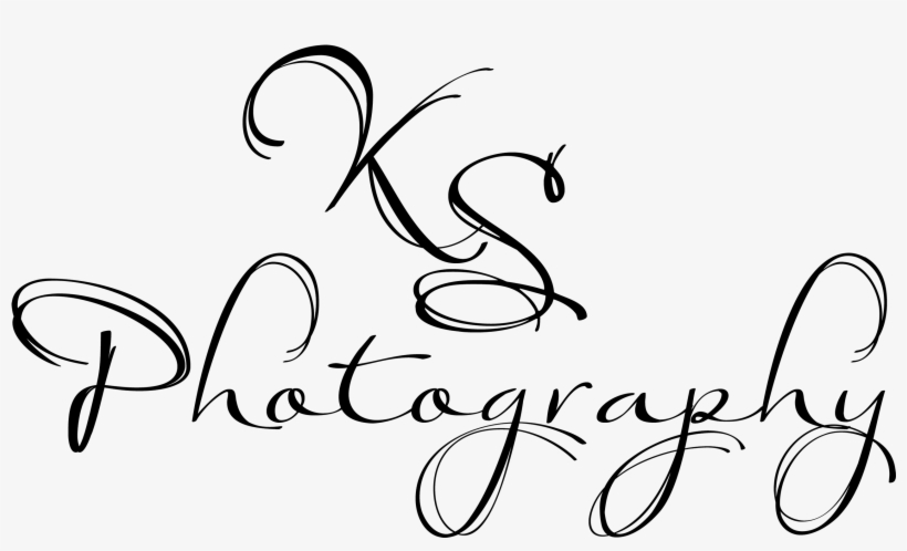 Photographer Logo Png, transparent png #6635004
