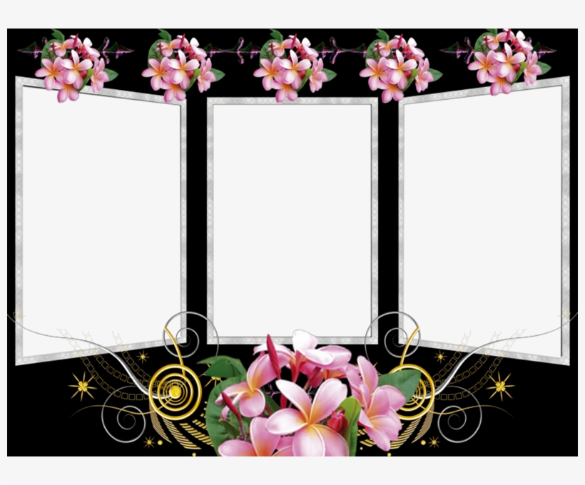 Photoscape An Amazing Free Photo Editor With Lots Of, transparent png #6635592