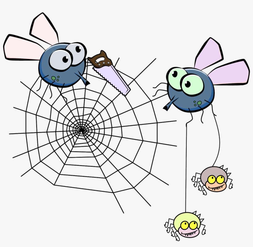 Spider Web Vector Png, transparent png #6636191