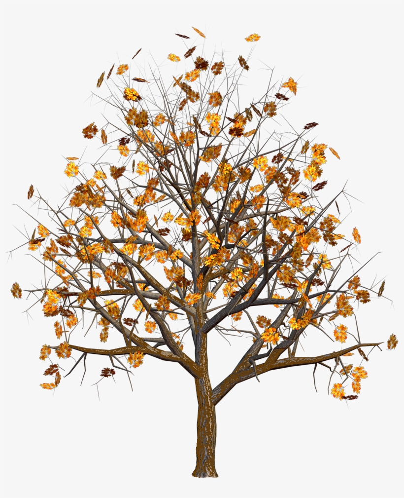 Elem-22, transparent png #6636641