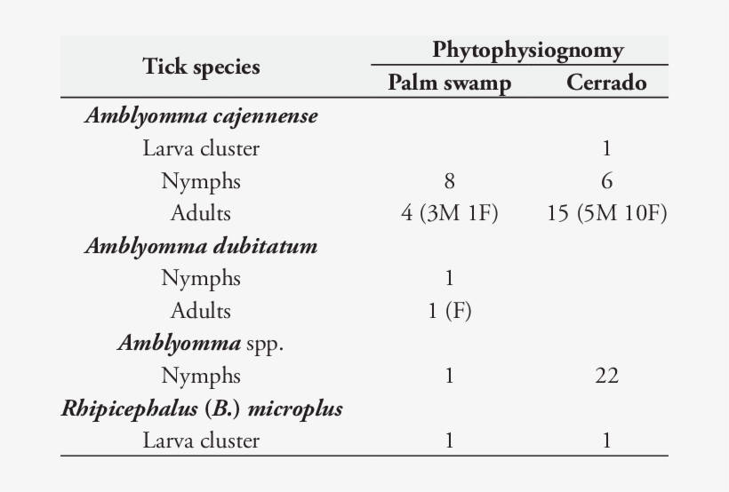 Ticks From Vegetation In The Reserve Of The Clube De, transparent png #6636939