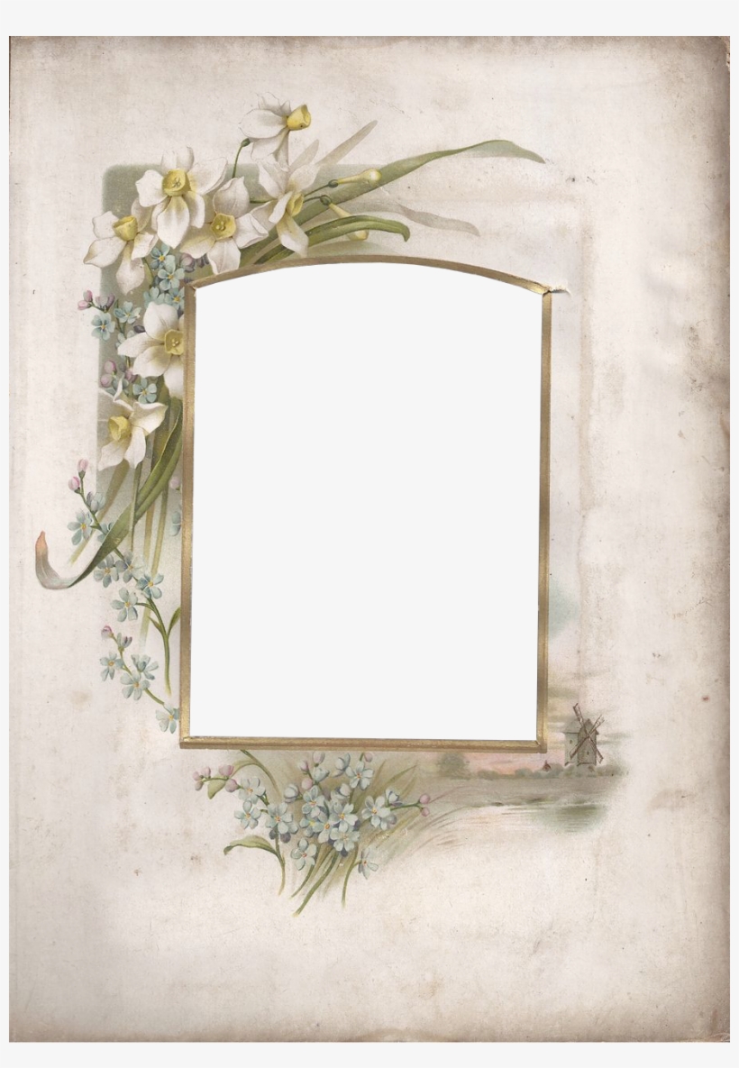 Victorian Photo Album Frame ~ Zibi Vintage Scrap, transparent png #6637293