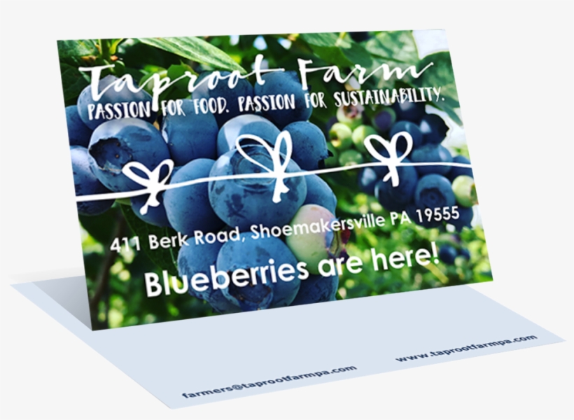 Postcards, transparent png #6637297