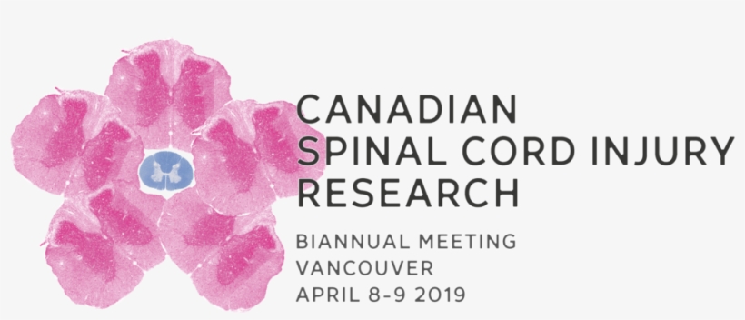 Canadian Spinal Cord Injury Research, transparent png #6637359