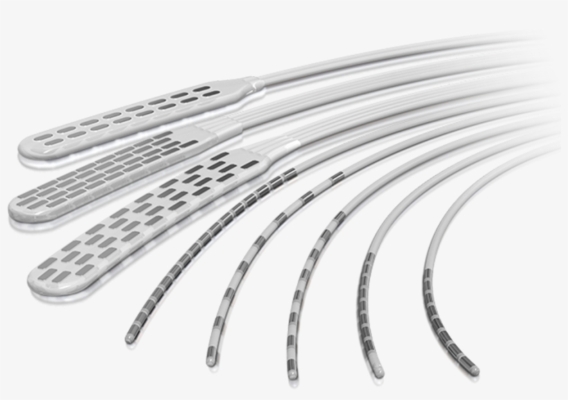 Scs Lead Portfolio, transparent png #6637499