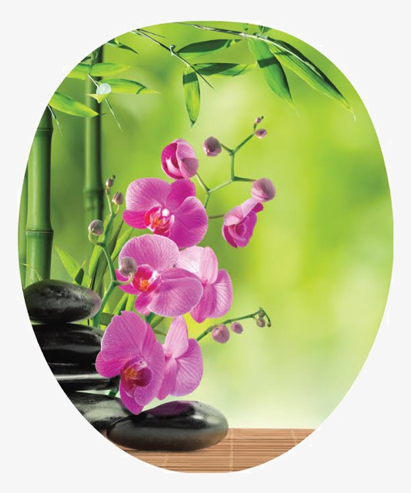 Pink Orchid Png, transparent png #6637791