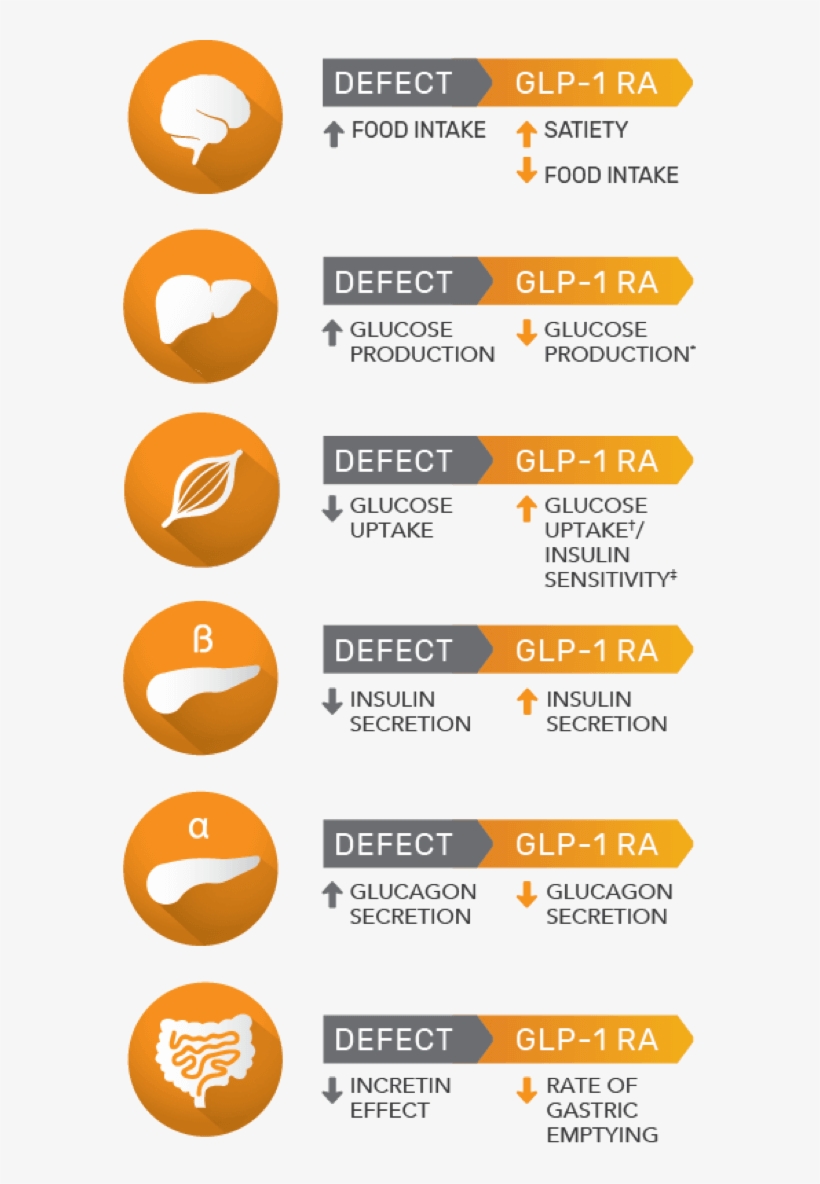 Diabetes Png, transparent png #6641119