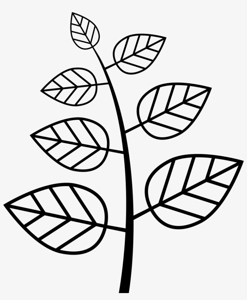 Png File, transparent png #6642866