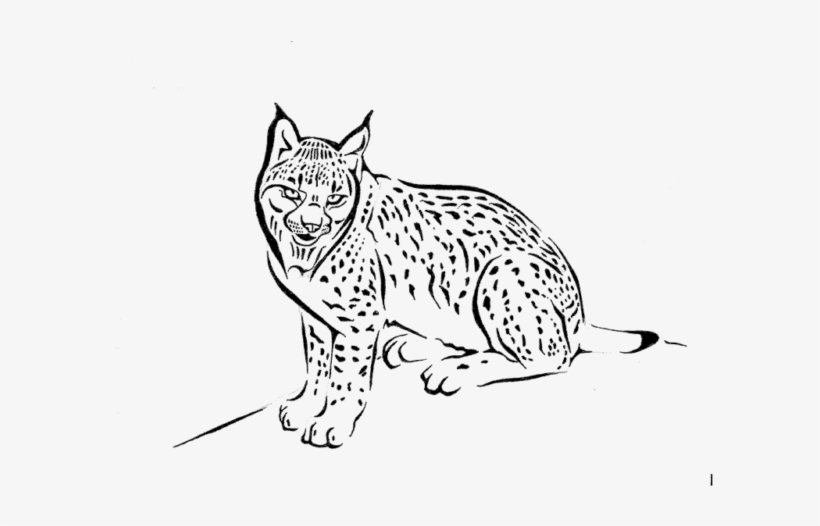 Wolf Icon Png, transparent png #6643875