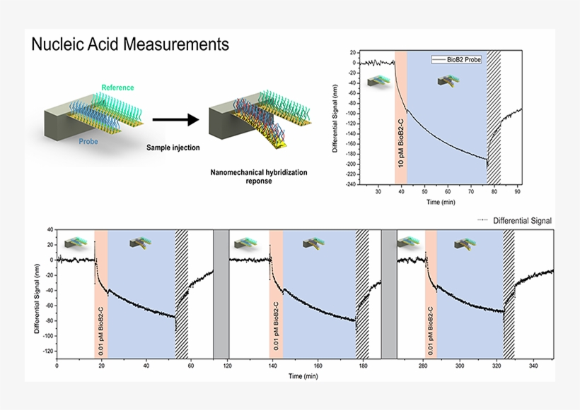 Nanomechanics Group Research Theme, transparent png #6645619