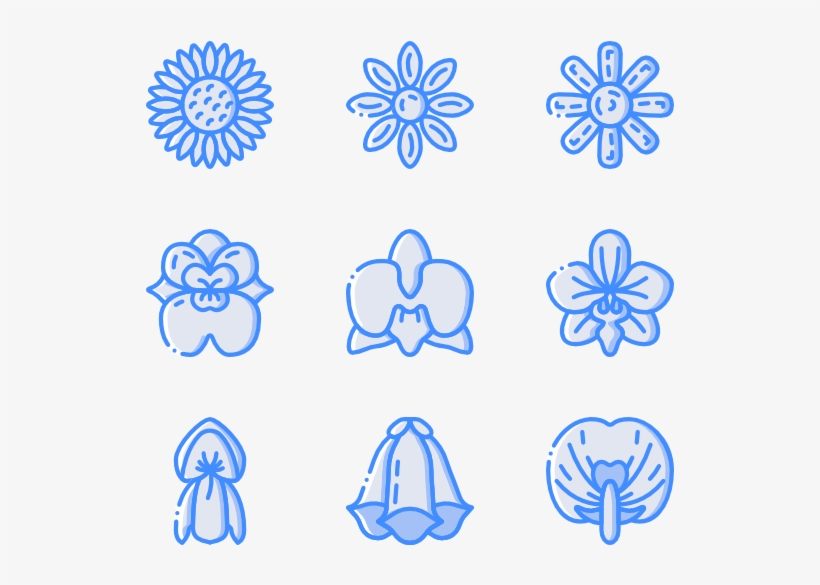 Botanicals, transparent png #6646813