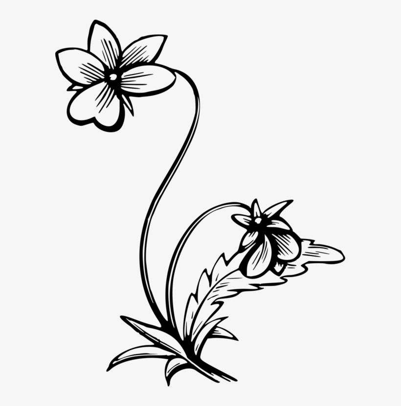 Computer Icons Brush-footed Butterflies User Interface, transparent png #6647754