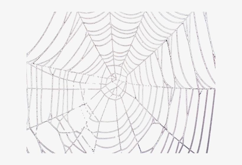 Drawn Spider Web Transparent Tumblr, transparent png #6648348