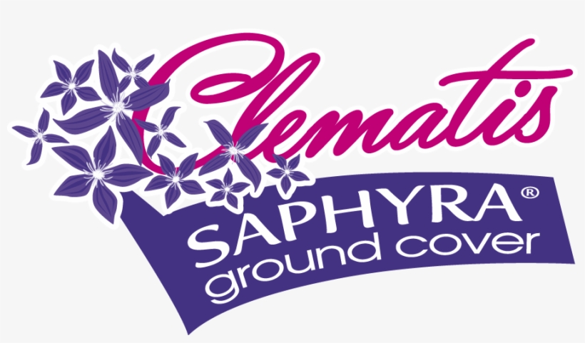 Exceptional Flowering And Low Growth With This, The, transparent png #6649720