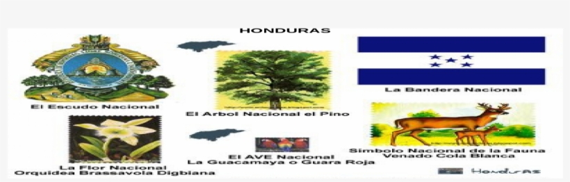 Bandera Honduras Png, transparent png #6651693