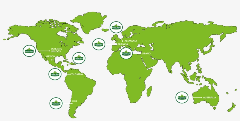 Presencia De Corpocampo En El Mundo, transparent png #6652116