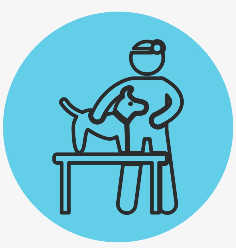 Total Solutions Icon Blue, transparent png #6652453