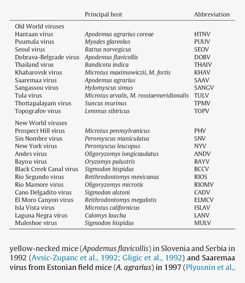 Virus Species In The Hantavirus Genus, Family Bunyaviridae, transparent png #6653337