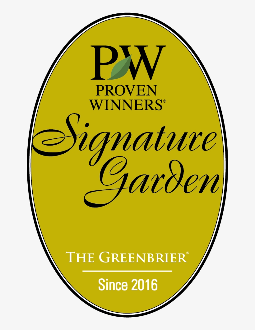 Satellite Icon Png, transparent png #6657339