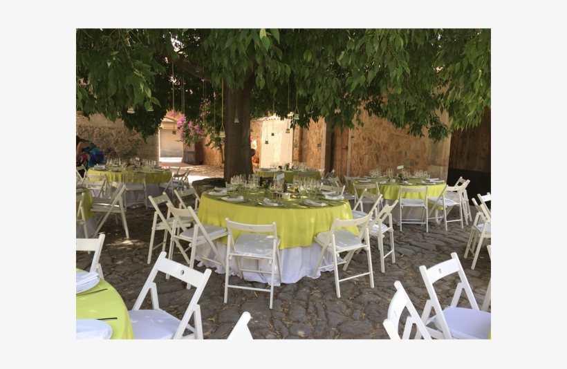 Photo Taken At Concept Events Mallorca By Business, transparent png #6660922