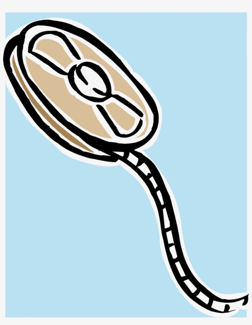 Clip Art Clipart Photographic Film Video Film Stock, transparent png #6661949