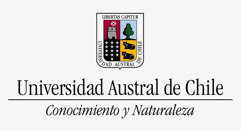 Marca-uach Png, transparent png #6665253