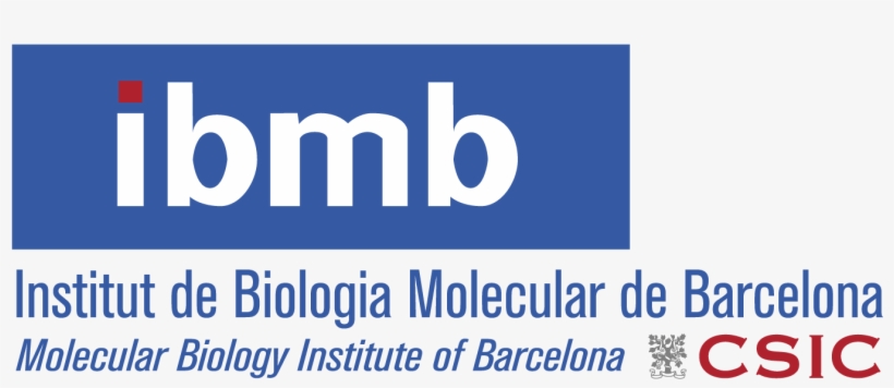 Logo Ibmb Csic-01, transparent png #6665520