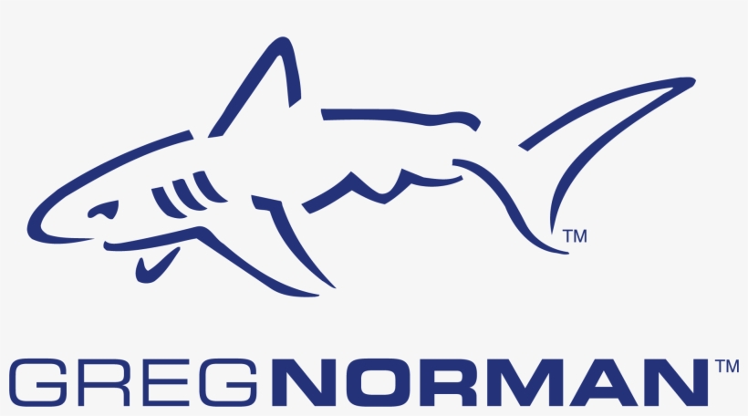 Norman Company Has Announced A Material Investment, transparent png #6671170