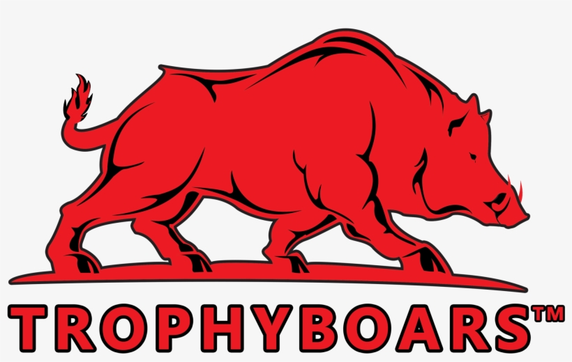 Designed By Out Of The Sandbox, transparent png #6671504
