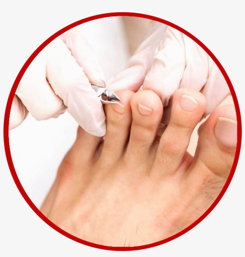 Trimming Nails, transparent png #6672155