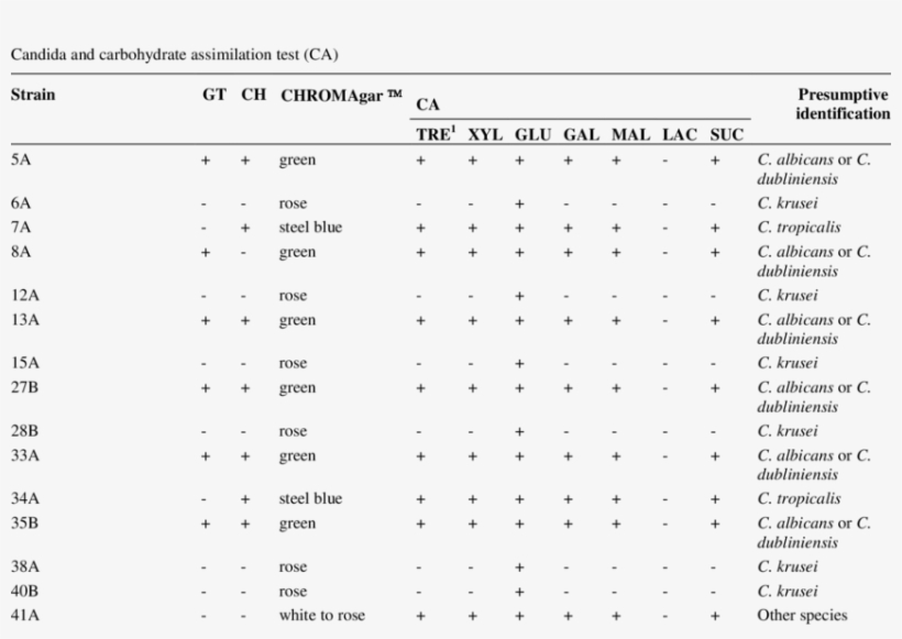 Identification Of Candida Spp, transparent png #6673054